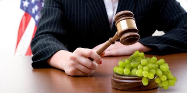 grapes-judge-gavel