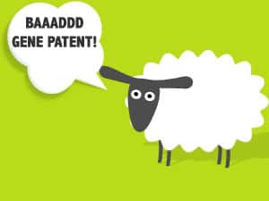 2014-06-16_Dolly-Sheep-Patent_Jacob