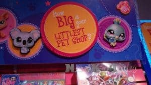 how-big-is-your-little-pet-shop